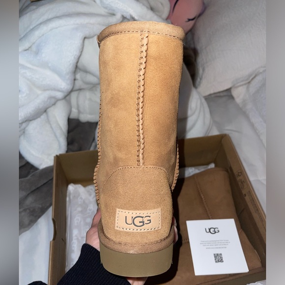 Brand New Chestnut Uggs - Picture 8 of 8